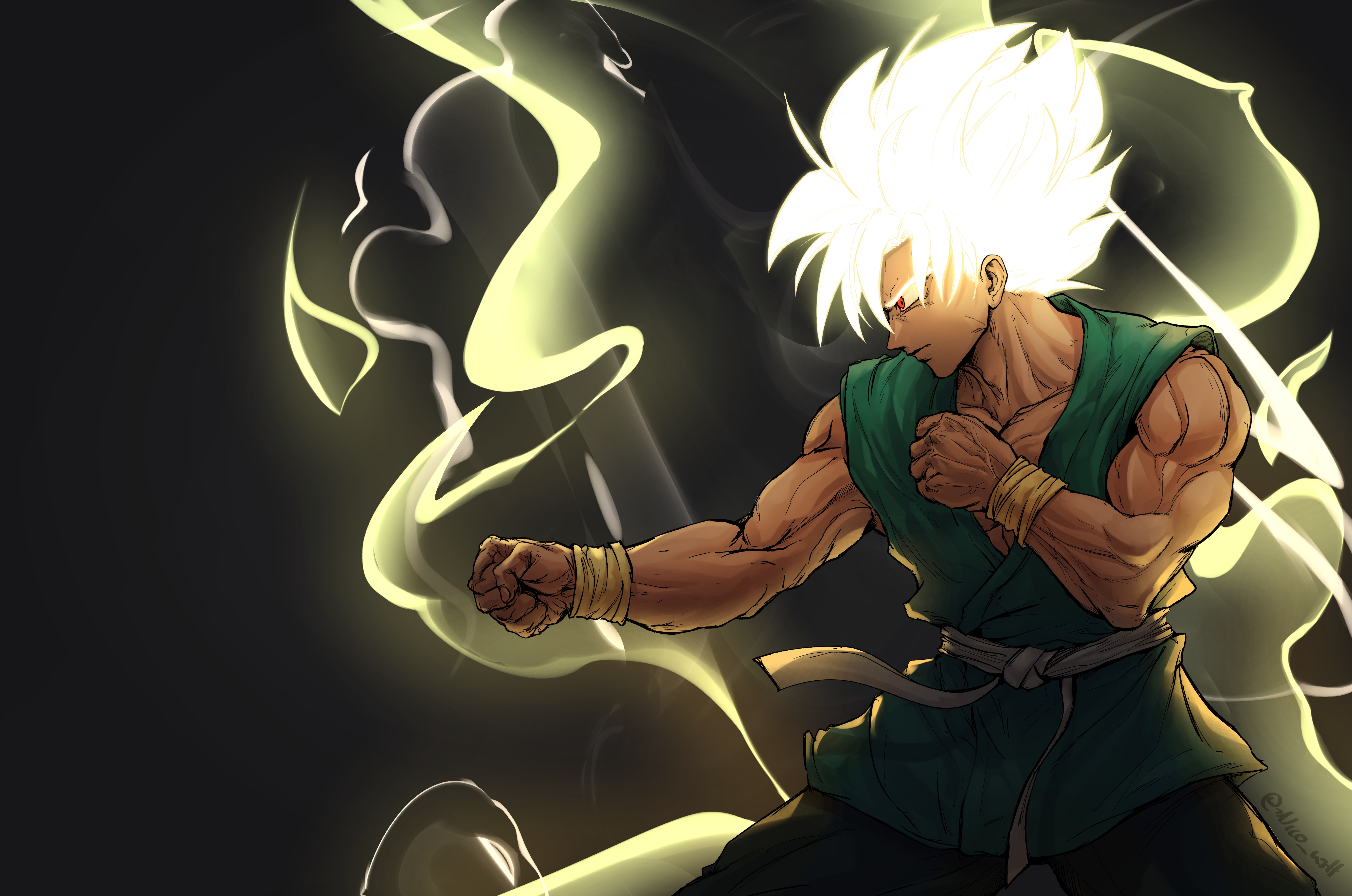 Tribute to Akira Toriama